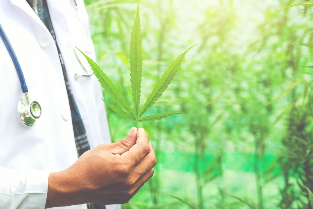 How to get medical cannabis prescription in texas
